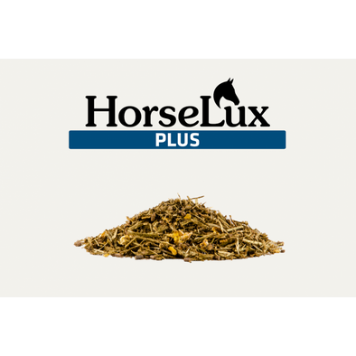 HorseLux Plus - 15 kg